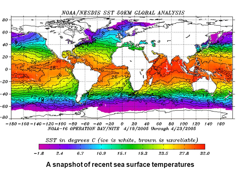 A snapshot of recent sea surface temperatures
