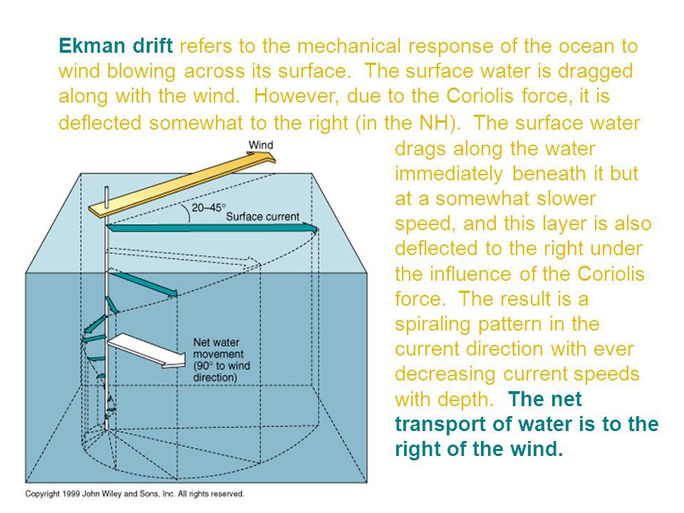 Ekman drift refers to the mechanical response of the ocean to wind blowing across its surface. The surface water is dragged along with the wind. However, due to the Coriolis force, it is deflected somewhat to the right (in the NH). The surface water