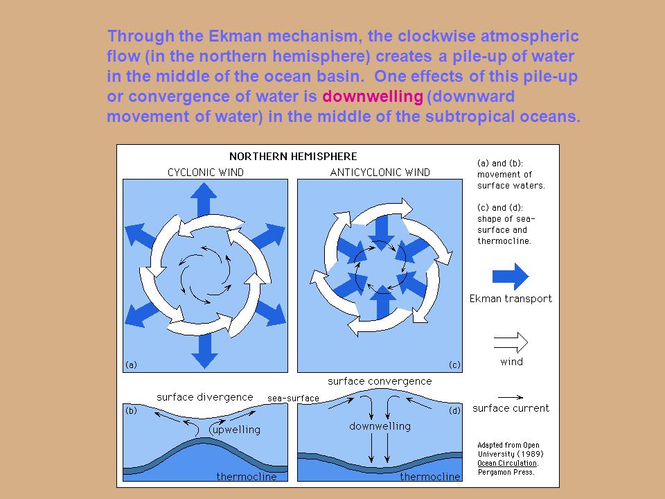 Through the Ekman mechanism, the clockwise atmospheric flow (in the northern hemisphere) creates a pile-up of water in the middle of the ocean basin.