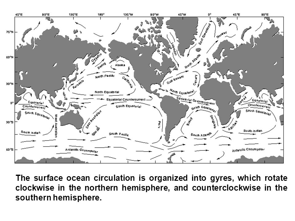 The surface ocean circulation is organized into gyres, which rotate clockwise in the northern hemisphere, and counterclockwise in the southern hemisphere.