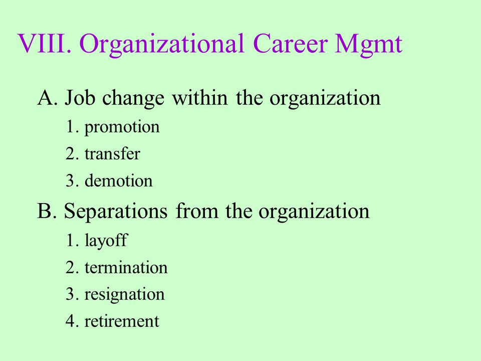 VIII. Organizational Career Mgmt
