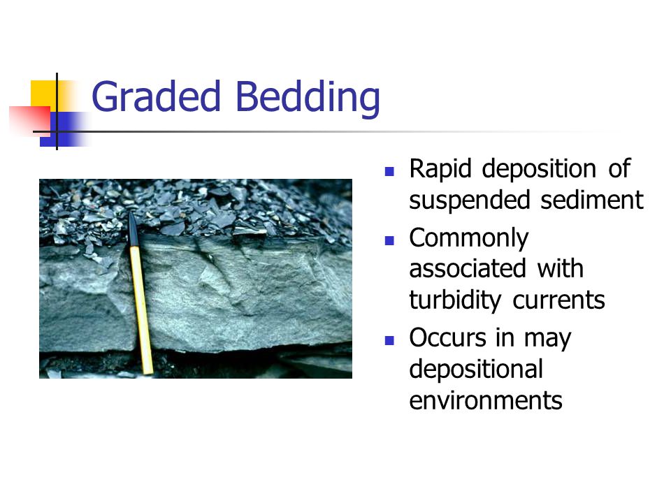 Graded Bedding Rapid deposition of suspended sediment