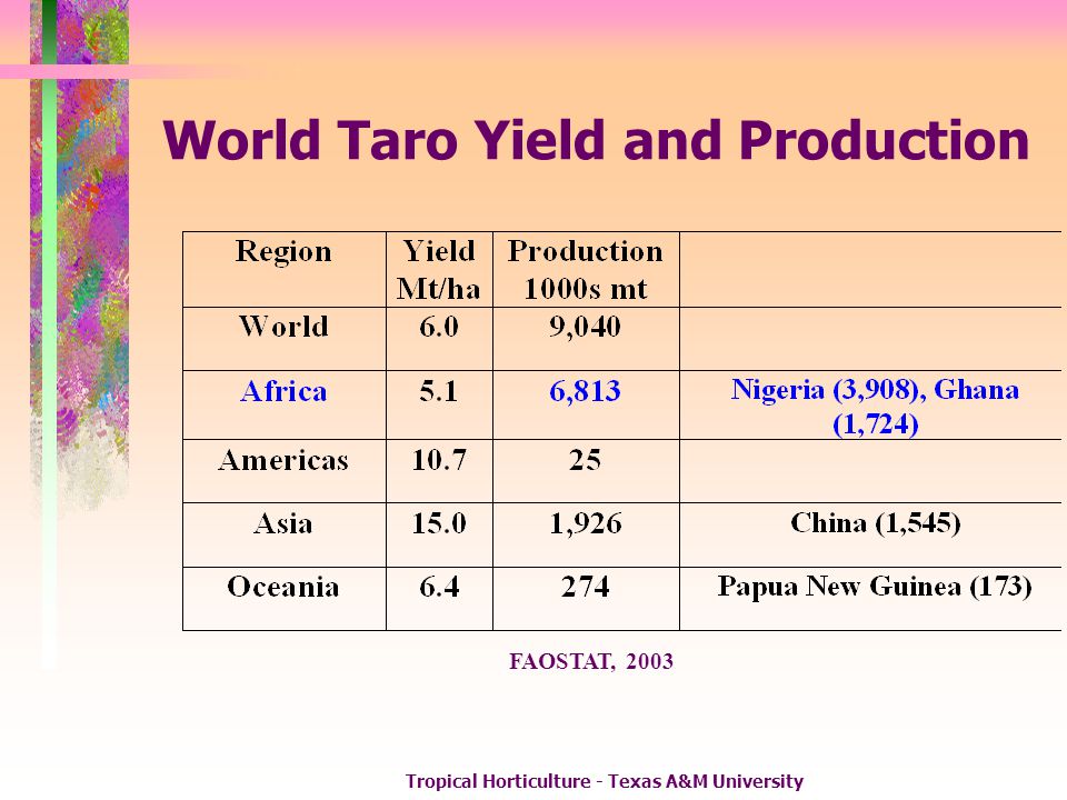 World Taro Yield and Production
