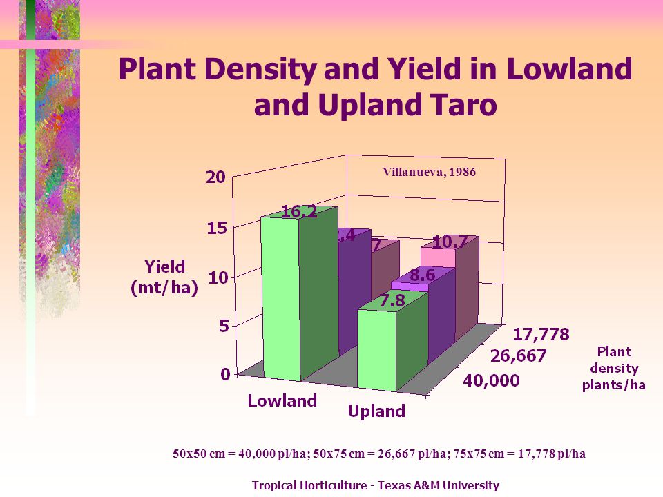 Plant Density and Yield in Lowland and Upland Taro