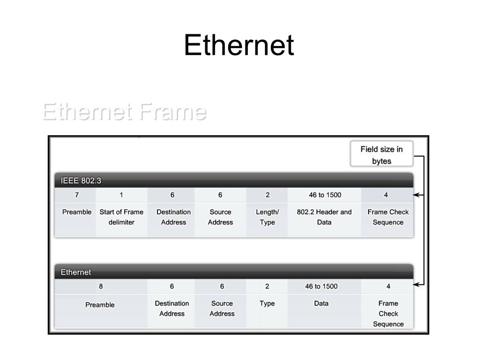 Ethernet Ethernet Frame