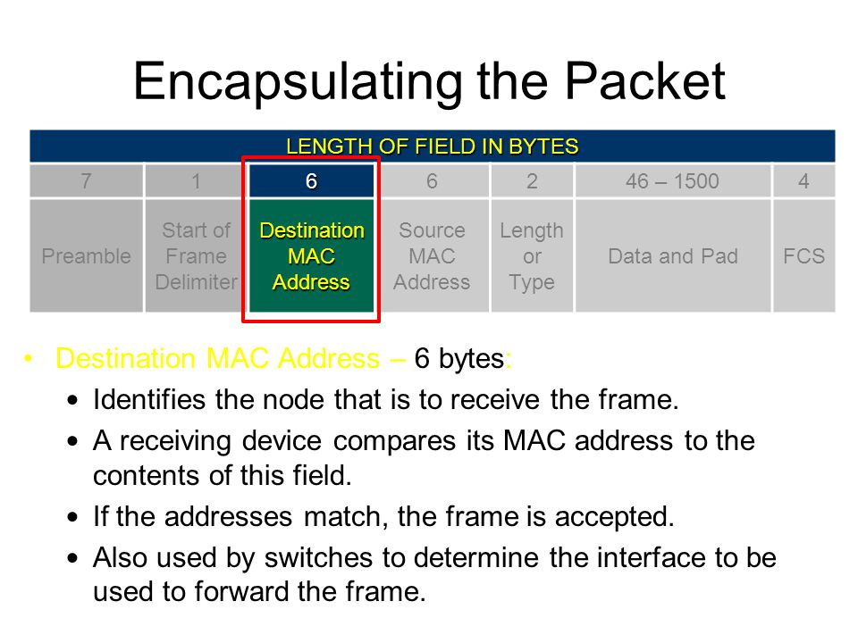 Encapsulating the Packet