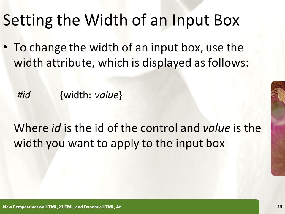 Setting the Width of an Input Box