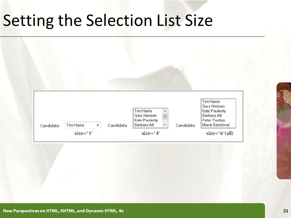 Setting the Selection List Size