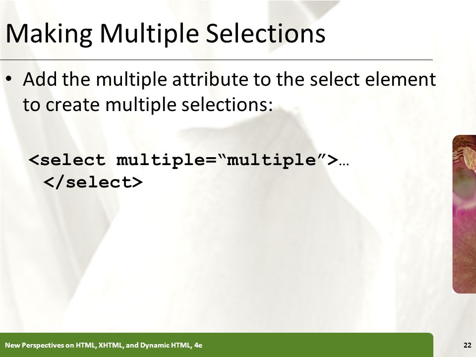 Making Multiple Selections