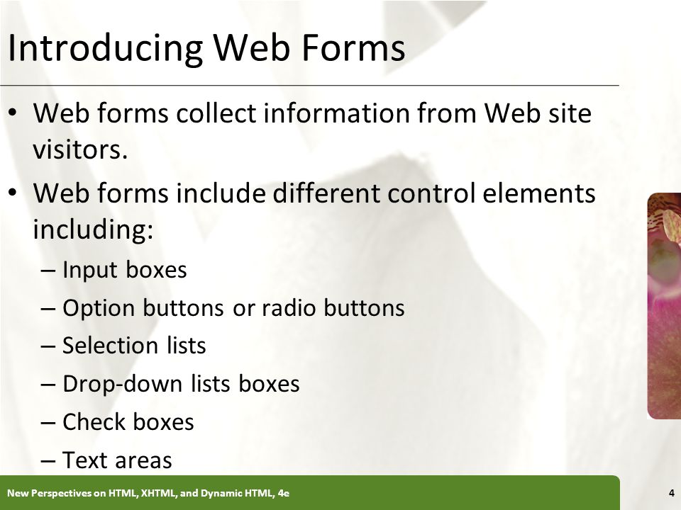 Introducing Web Forms Web forms collect information from Web site visitors. Web forms include different control elements including: