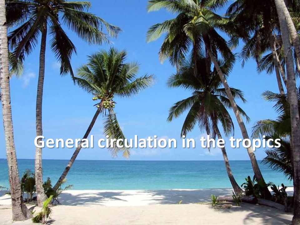 General circulation in the tropics