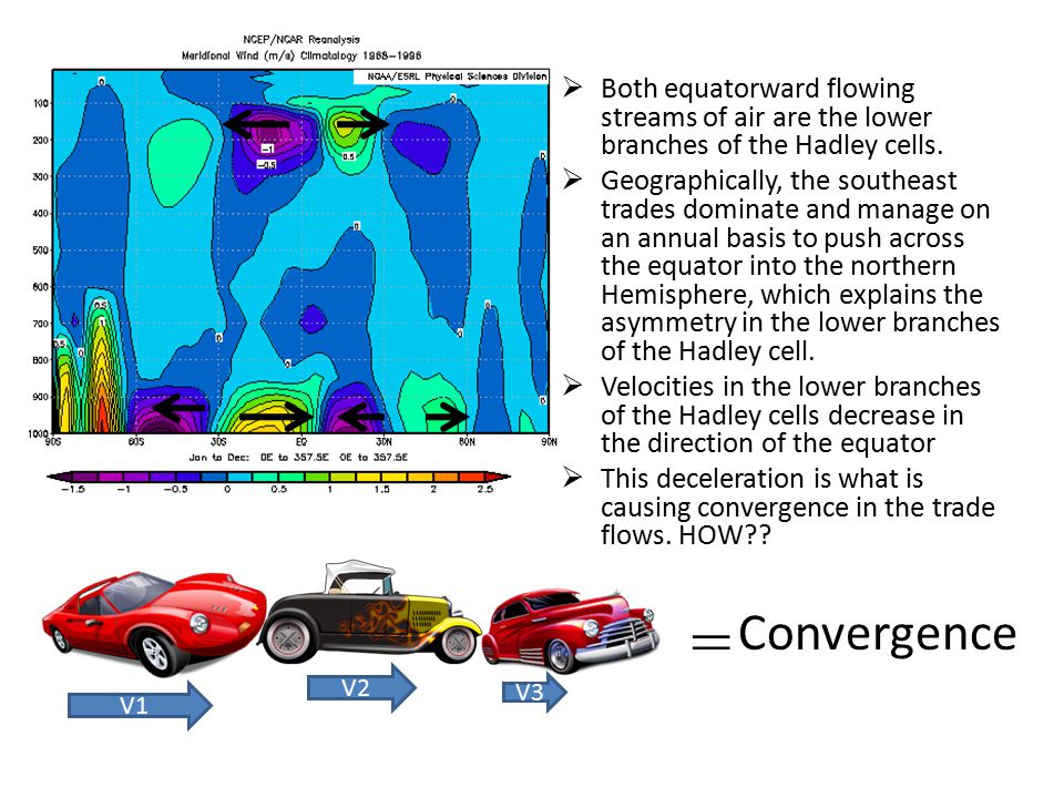 Both equatorward flowing streams of air are the lower branches of the Hadley cells.