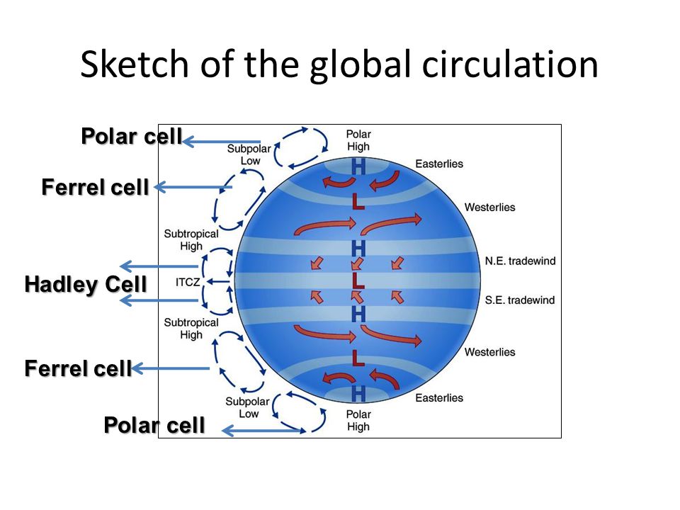 Sketch of the global circulation