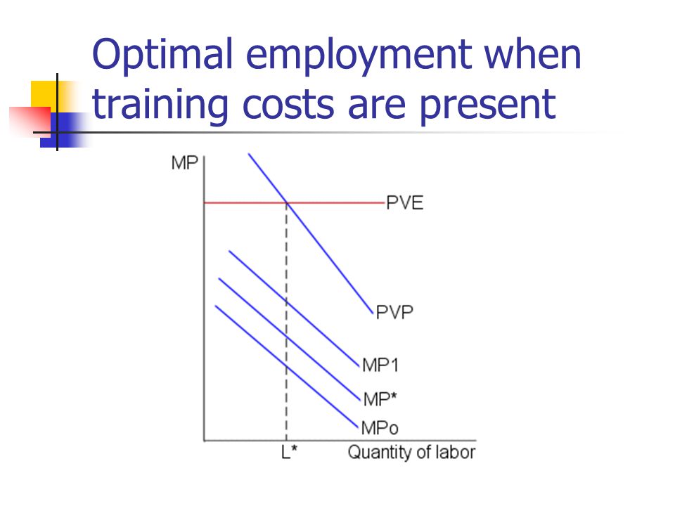 Optimal employment when training costs are present