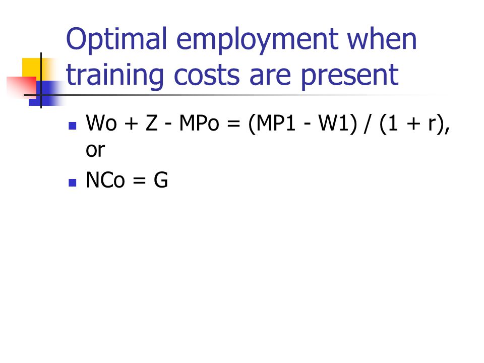 Optimal employment when training costs are present