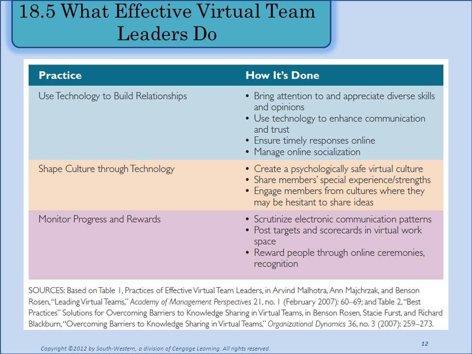 18.5 What Effective Virtual Team Leaders Do