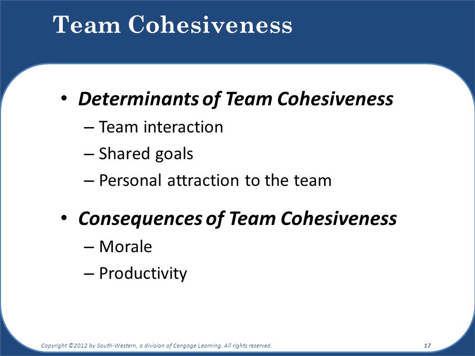 Team Cohesiveness Determinants of Team Cohesiveness