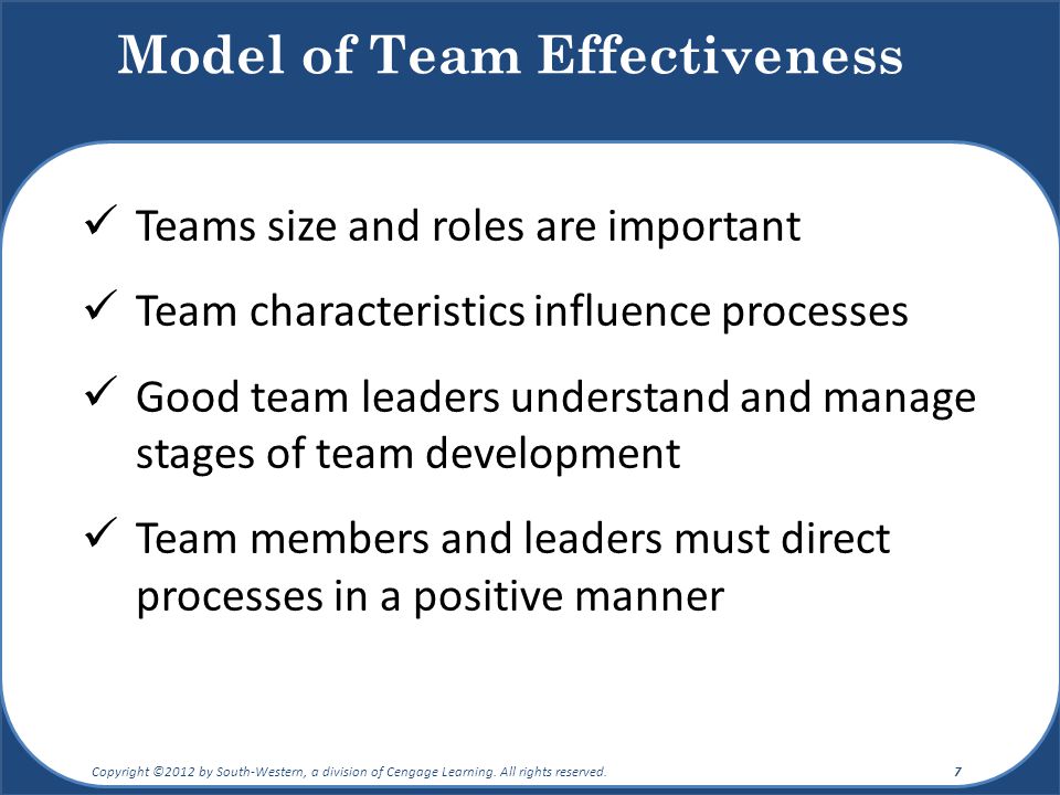 Model of Team Effectiveness