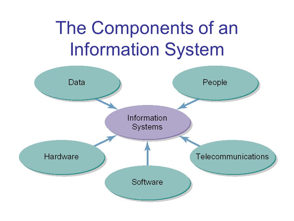 The Components of an Information System