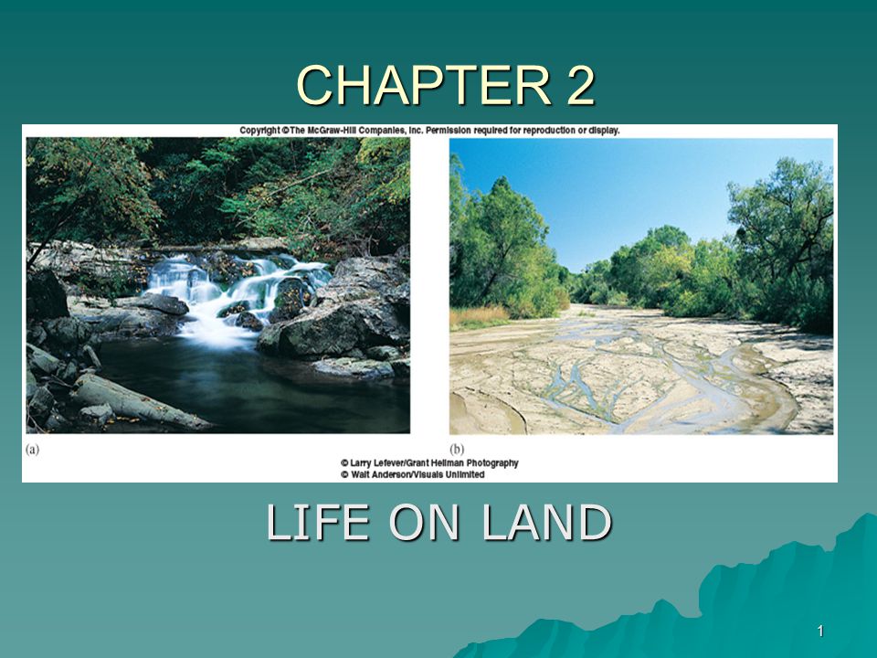 CHAPTER 2 LIFE ON LAND