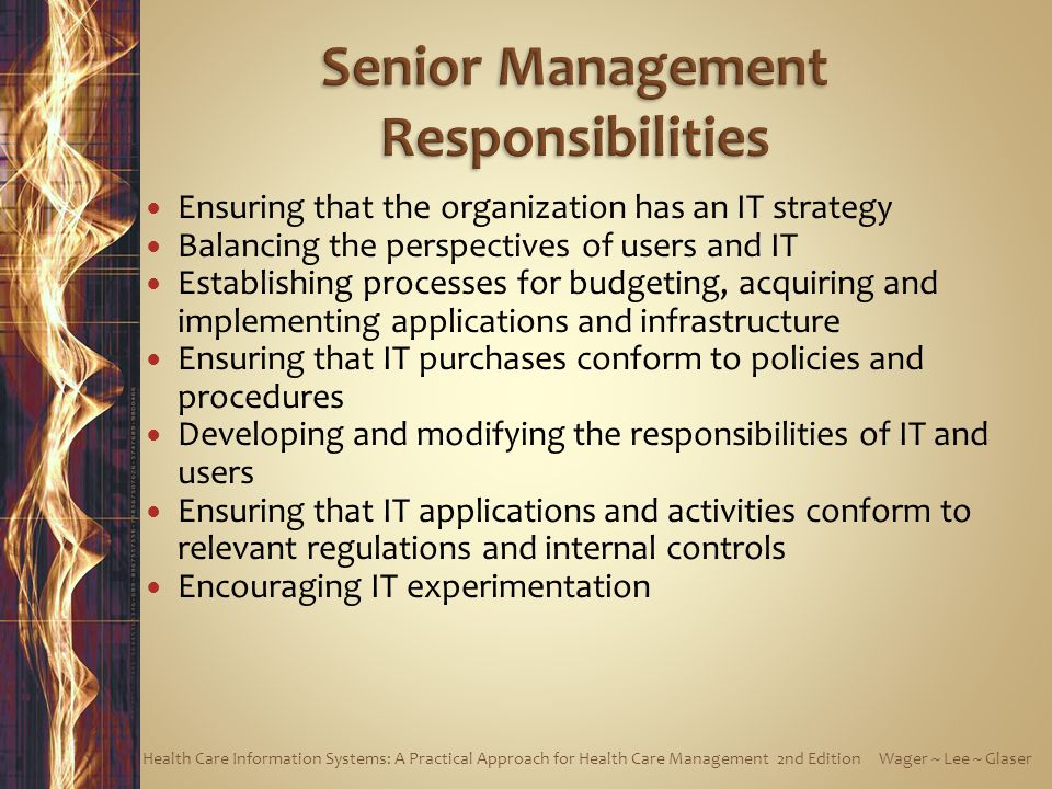 Senior Management Responsibilities