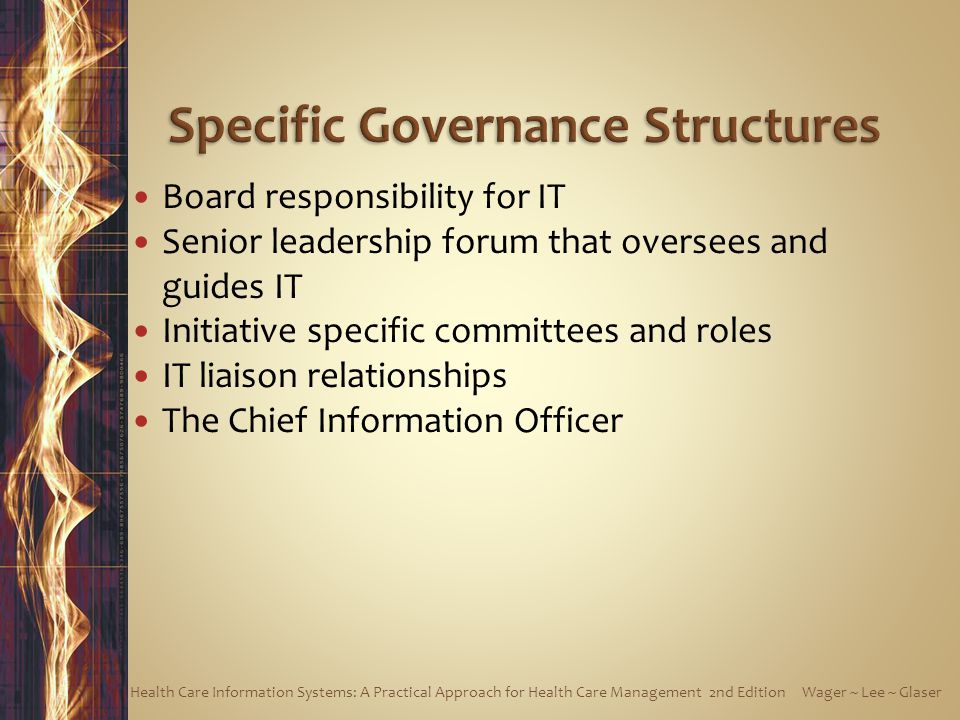 Specific Governance Structures