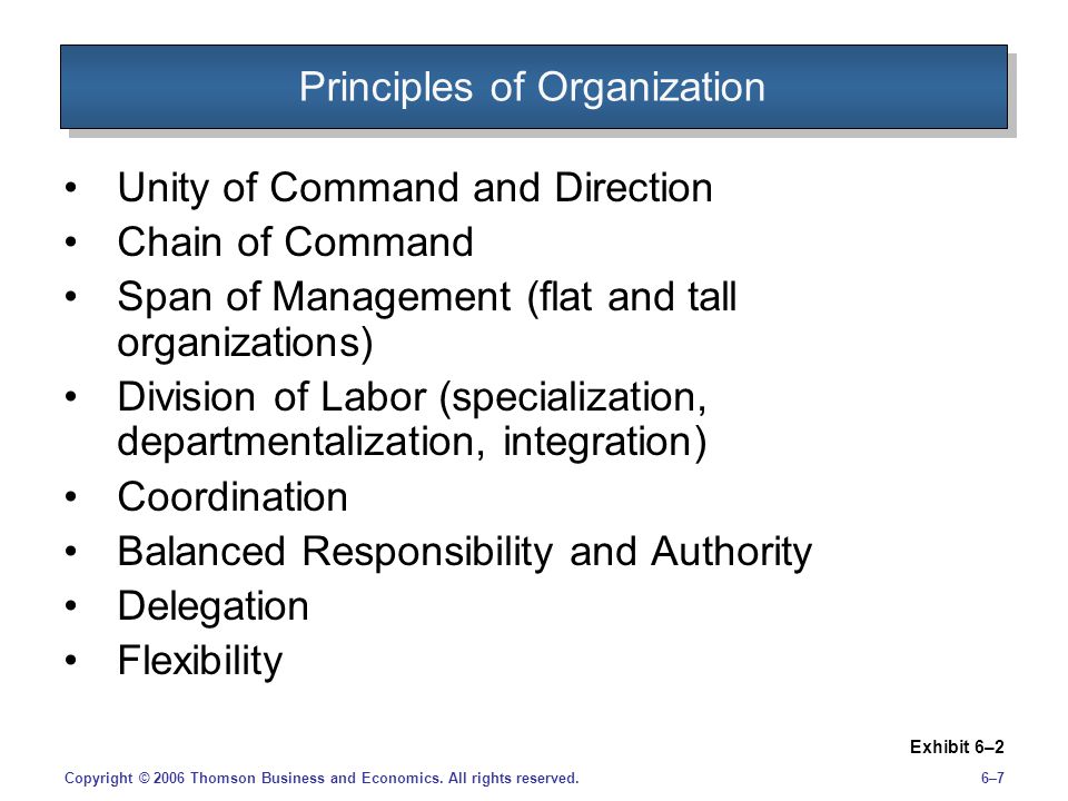 Principles of Organization