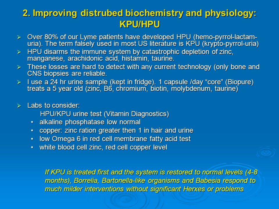 The treatment of Lyme disease - ppt download