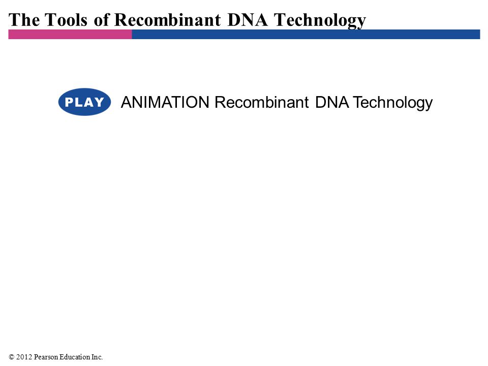 Recombinant DNA Technology - ppt video online download