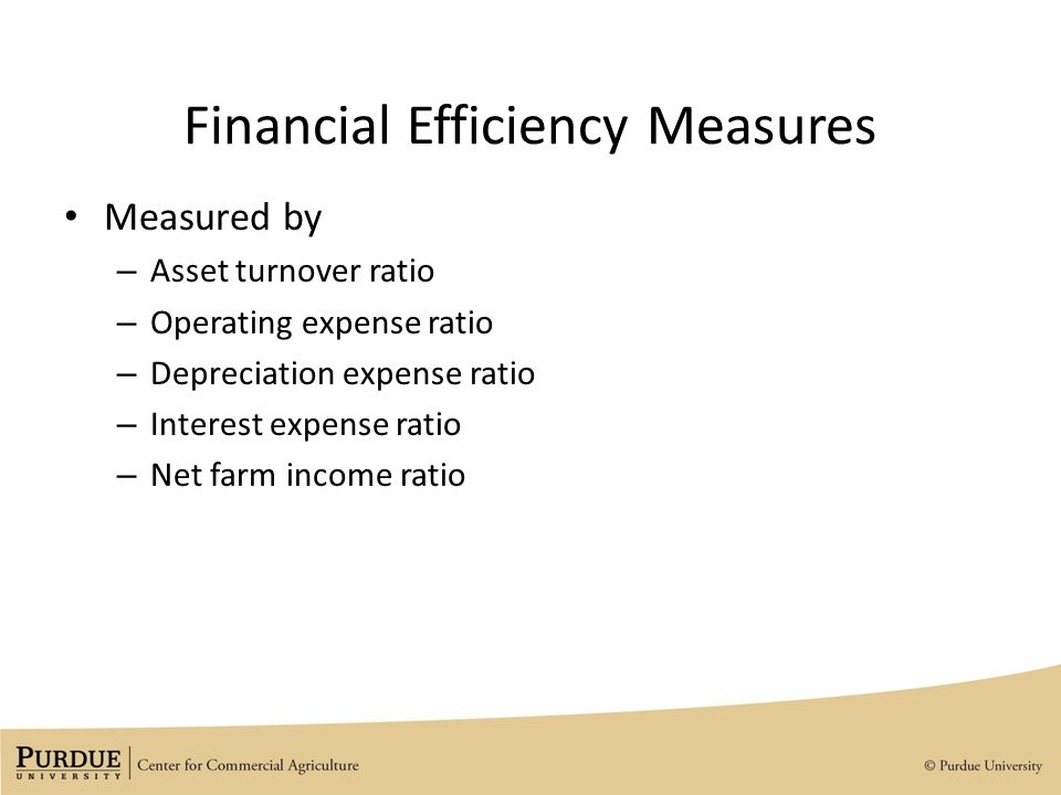 Financial Efficiency Measures