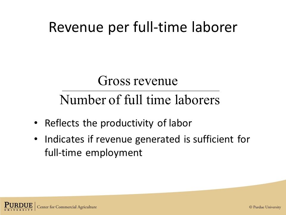 Revenue per full-time laborer