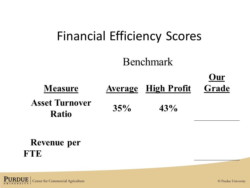 Financial Efficiency Scores