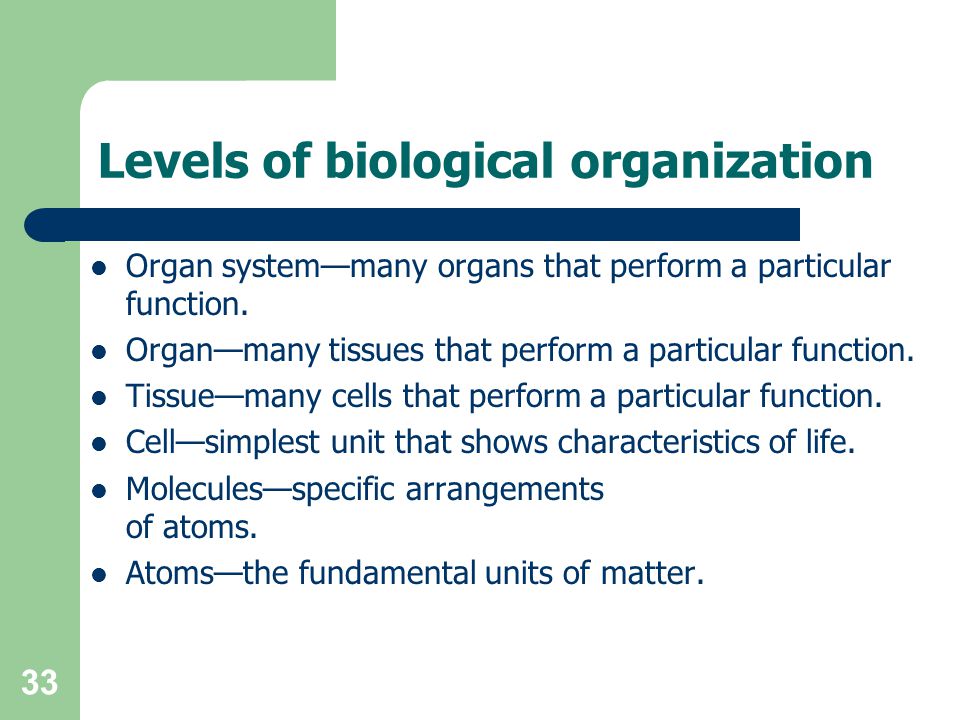 Levels of biological organization