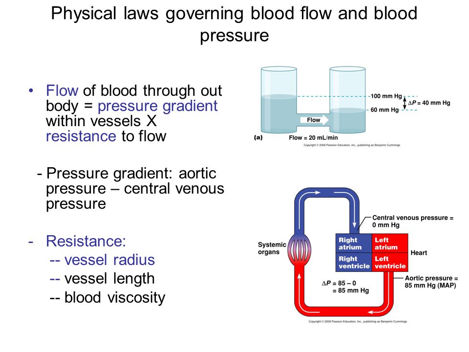 describe the relationship between vessel radius and blood flow rate