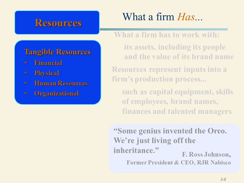 What a firm Has... Resources Resources What a firm has to work with: