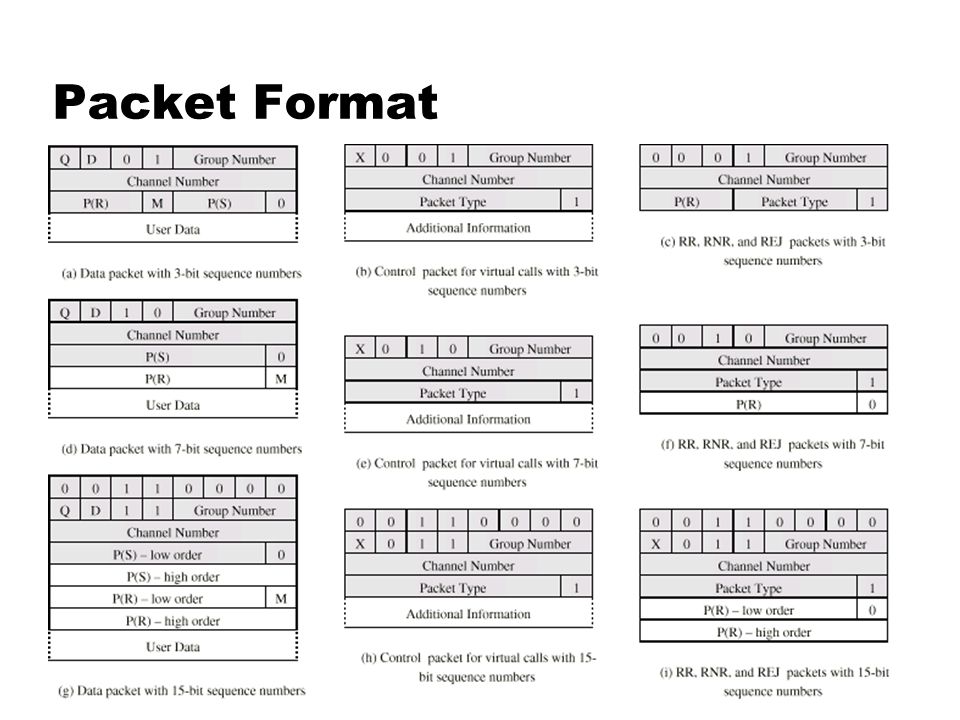 Packet Format
