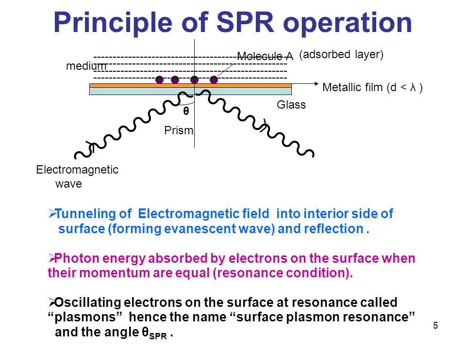 number explain of particles for  ppt Plasmon video Immunoassays  Resonance Surface