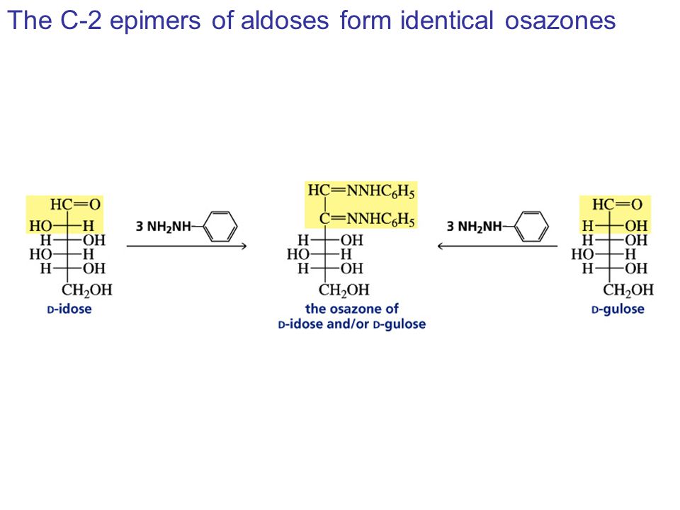 The C-2 epimers of aldoses form identical osazones