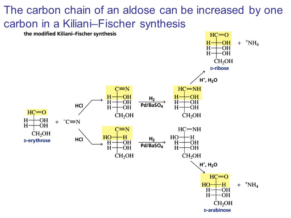 The carbon chain of an aldose can be increased by one