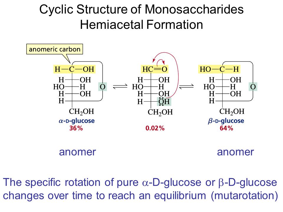 Cyclic Structure of Monosaccharides