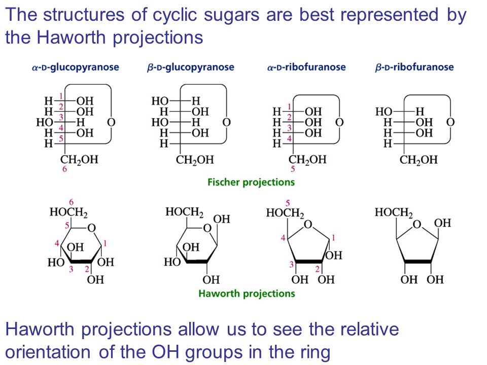 The structures of cyclic sugars are best represented by