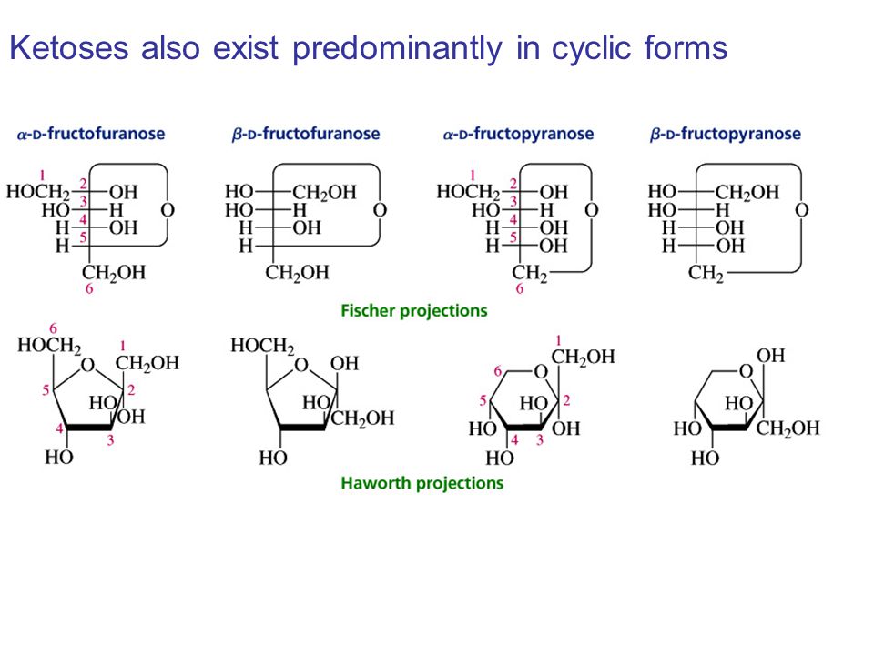 Ketoses also exist predominantly in cyclic forms