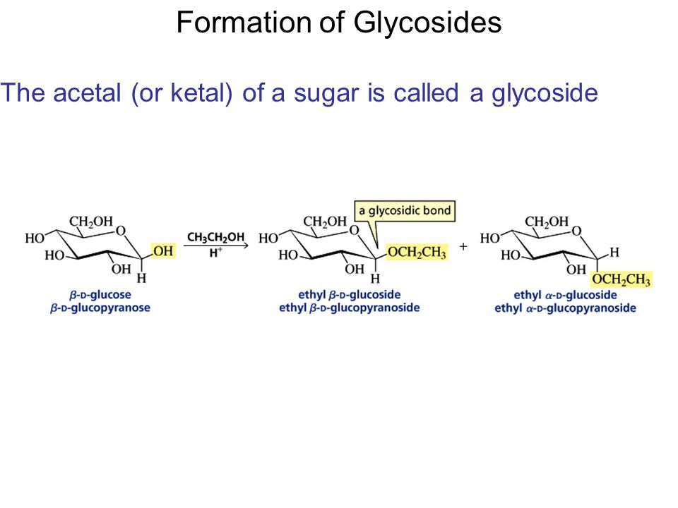 Formation of Glycosides