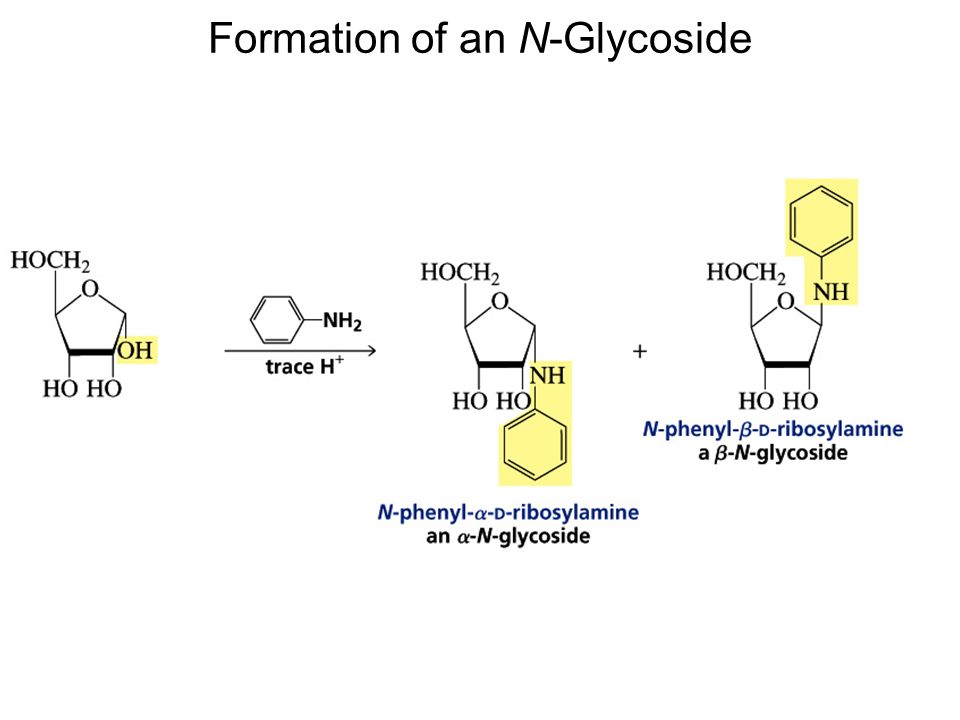 Formation of an N-Glycoside