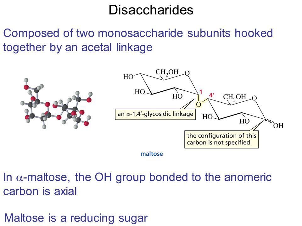 Disaccharides Composed of two monosaccharide subunits hooked