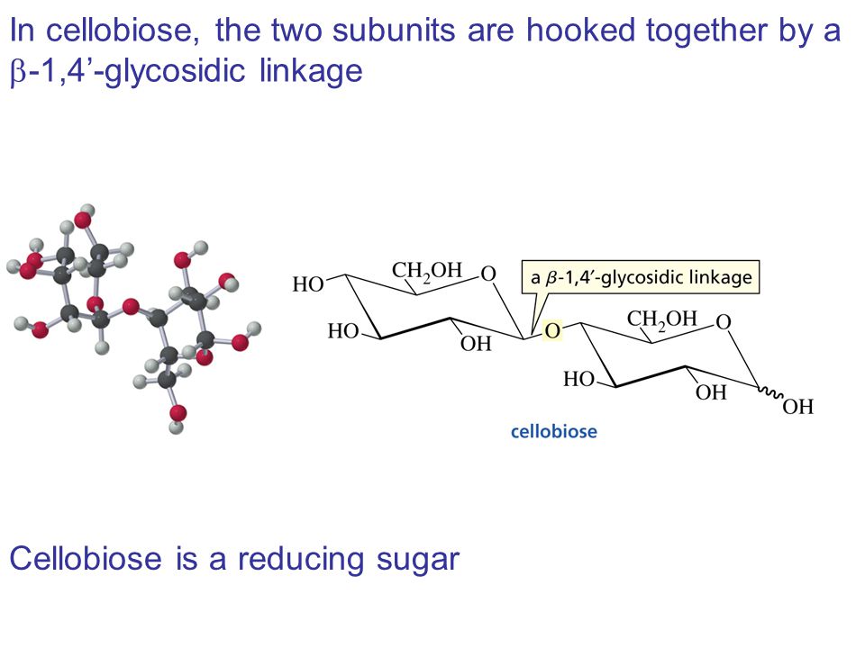 In cellobiose, the two subunits are hooked together by a