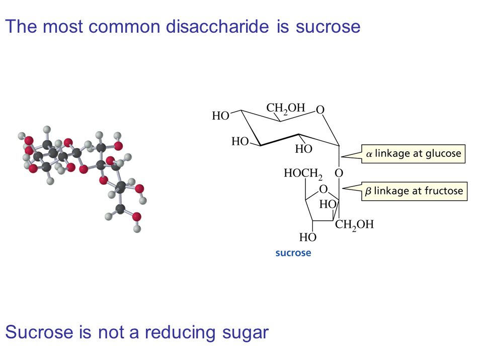 The most common disaccharide is sucrose