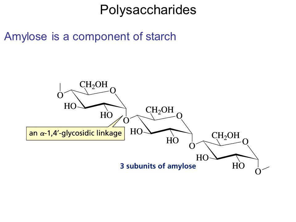 Polysaccharides Amylose is a component of starch