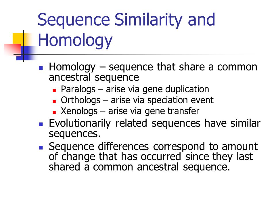 Sequence Similarity and Homology