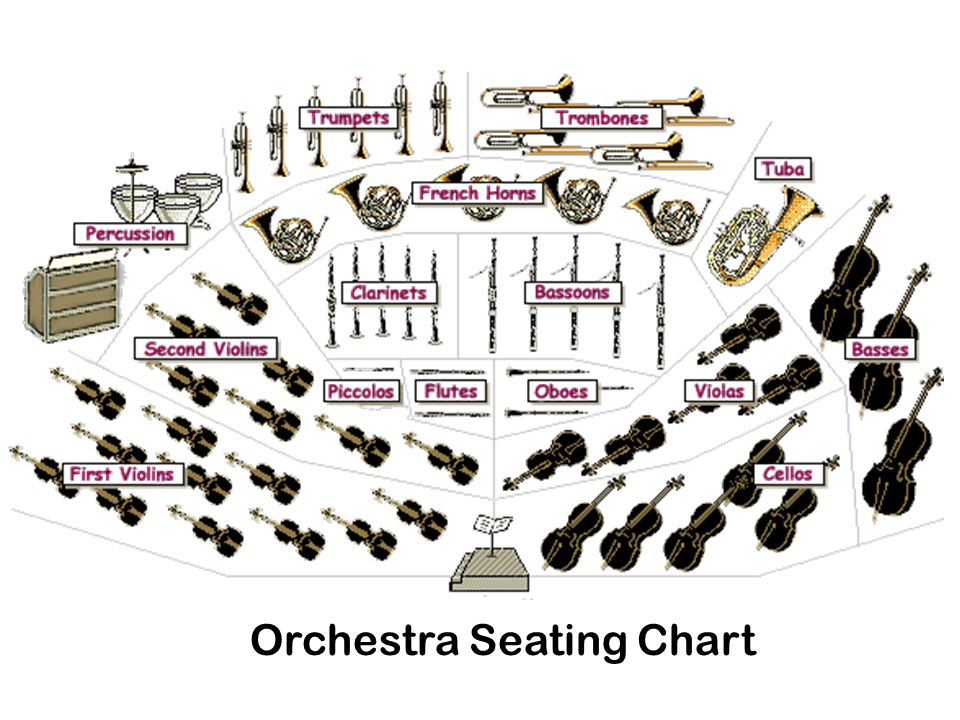 Orchestra Instrument Seating Chart